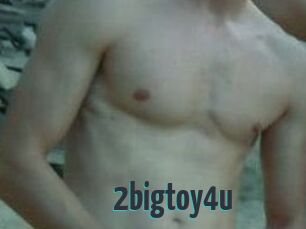 2bigtoy4u