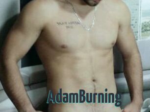 AdamBurning