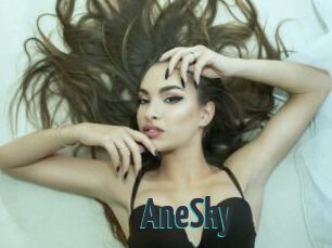 AneSky