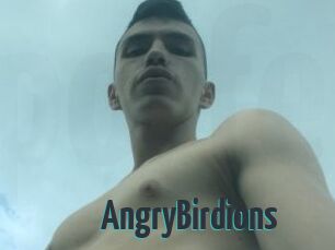 AngryBirdions