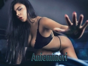 Anieminori