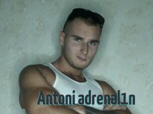 Antoni_adrenal1n