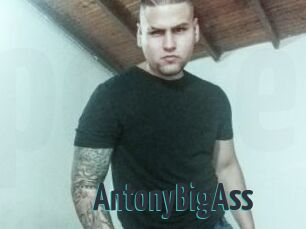 AntonyBigAss
