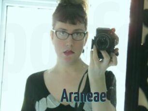 Araneae