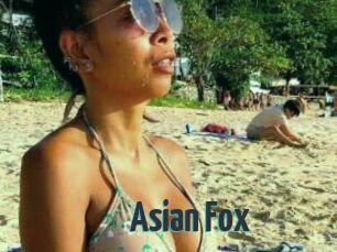 Asian_Fox