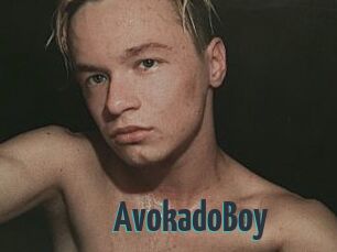 AvokadoBoy