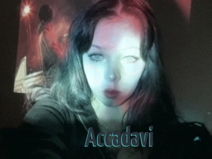 Accadavi