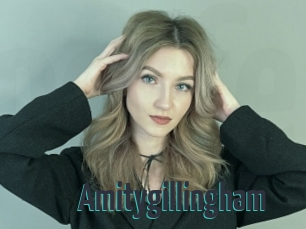 Amitygillingham