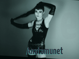 Anatamunet