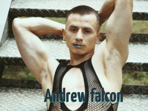 Andrew_falcon