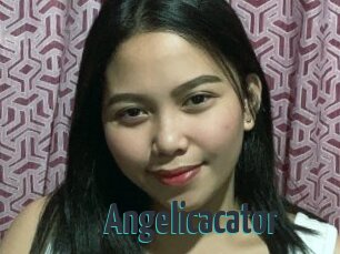 Angelicacator