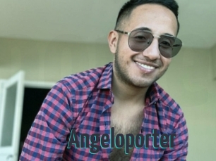 Angeloporter
