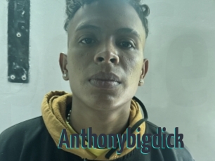 Anthonybigdick