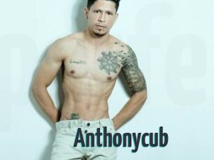 Anthonycub