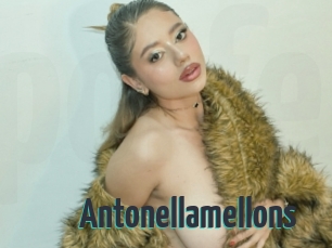 Antonellamellons