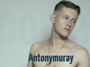 Antonymuray