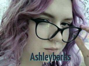 Ashleybarks