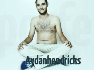 Aydanhendricks