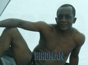 BIRDMAN Porn Fellow