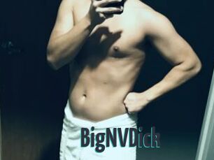 BigNVDick