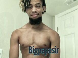 Bigpapasir