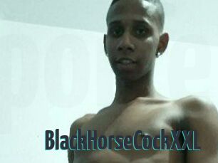 BlackHorseCockXXL