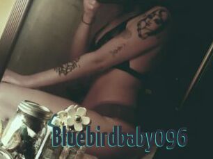 Bluebirdbaby096