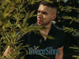 BruceSilva