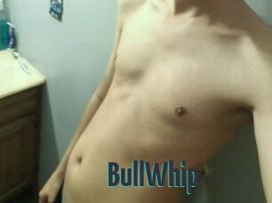 BullWhip