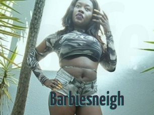 Barbiesneigh