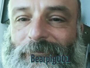 Bearpig001