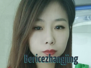 Bericezhangjing