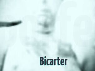 Bicarter