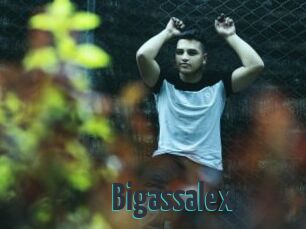 Bigassalex