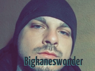 Bigkaneswonder