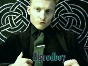 Bigredboy
