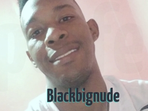Blackbignude