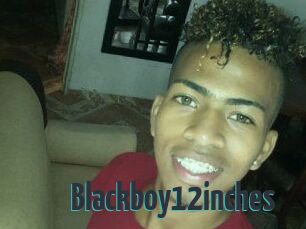 Blackboy12inches