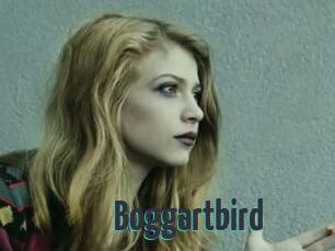 Boggartbird