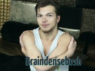 Braindensebush