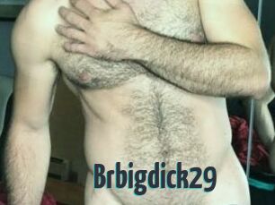 Brbigdick29