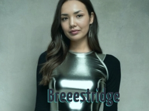 Breeestridge