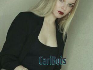 CariBois