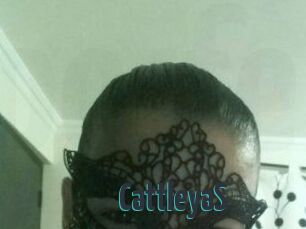 Cattleya_S