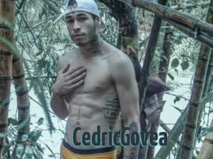 CedricGovea