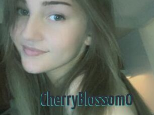 CherryBlossom0