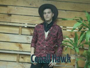 Conall_Hawk