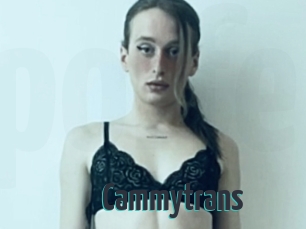 Cammytrans