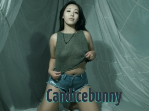 Candicebunny
