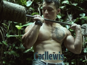 Carllewis